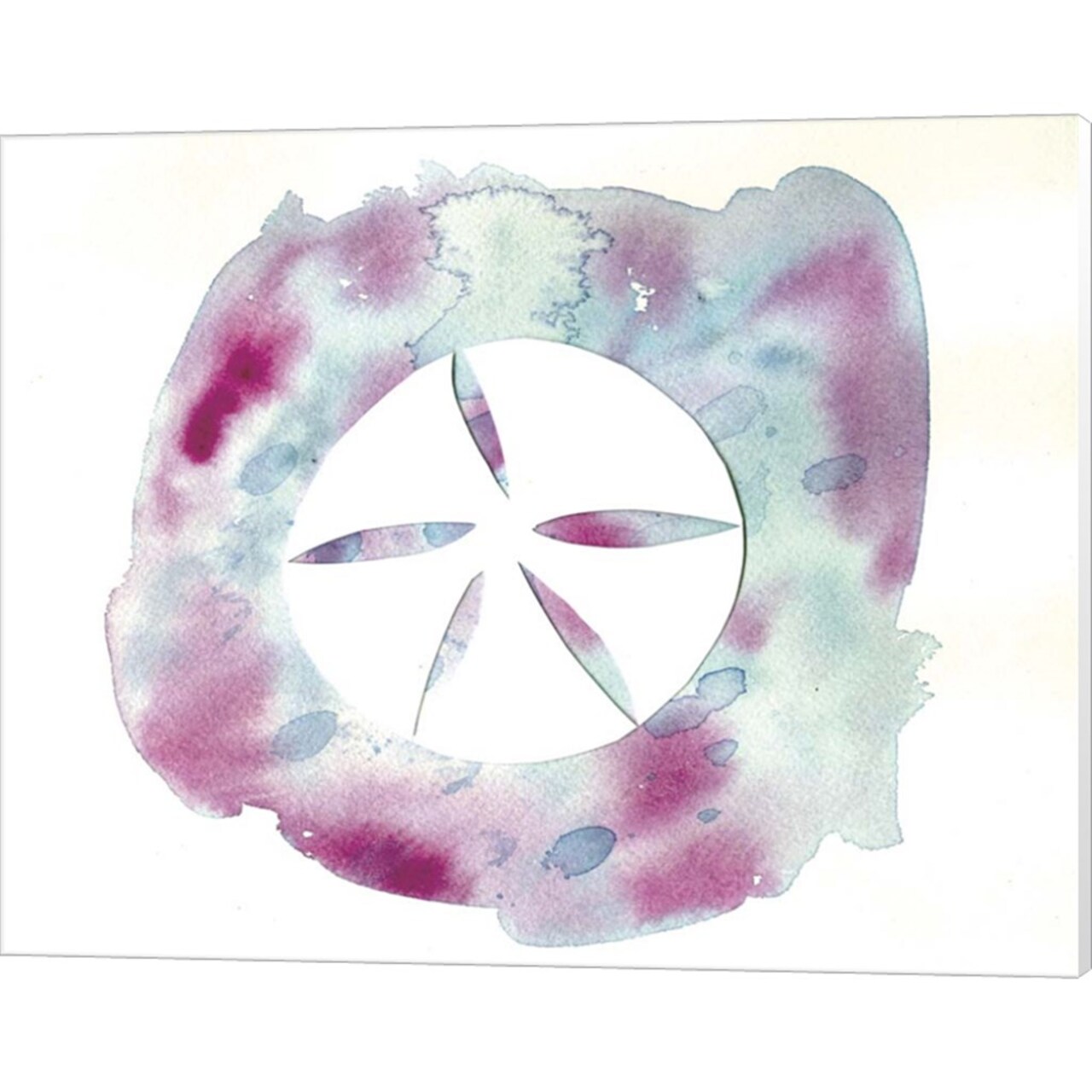 Watercolor Sand Dollar by Summer Tali Hilty 20" x 16" Canvas Wall Art